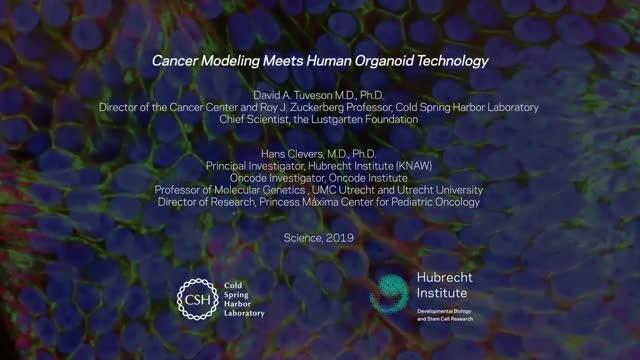 Cancer Modeling Meets Human Organic Technology — Hans Clevers (video)