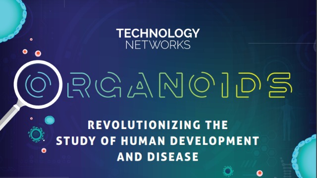 Organoids – Revolutionizing the Study of Human Development and Disease