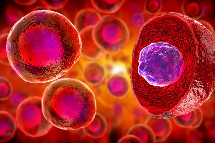 The growing possibilities for stem cells in pharma
